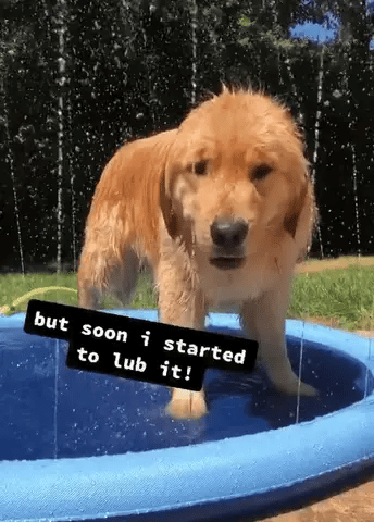 😆-Almohadilla Antideslizante Para Niños Y Perros