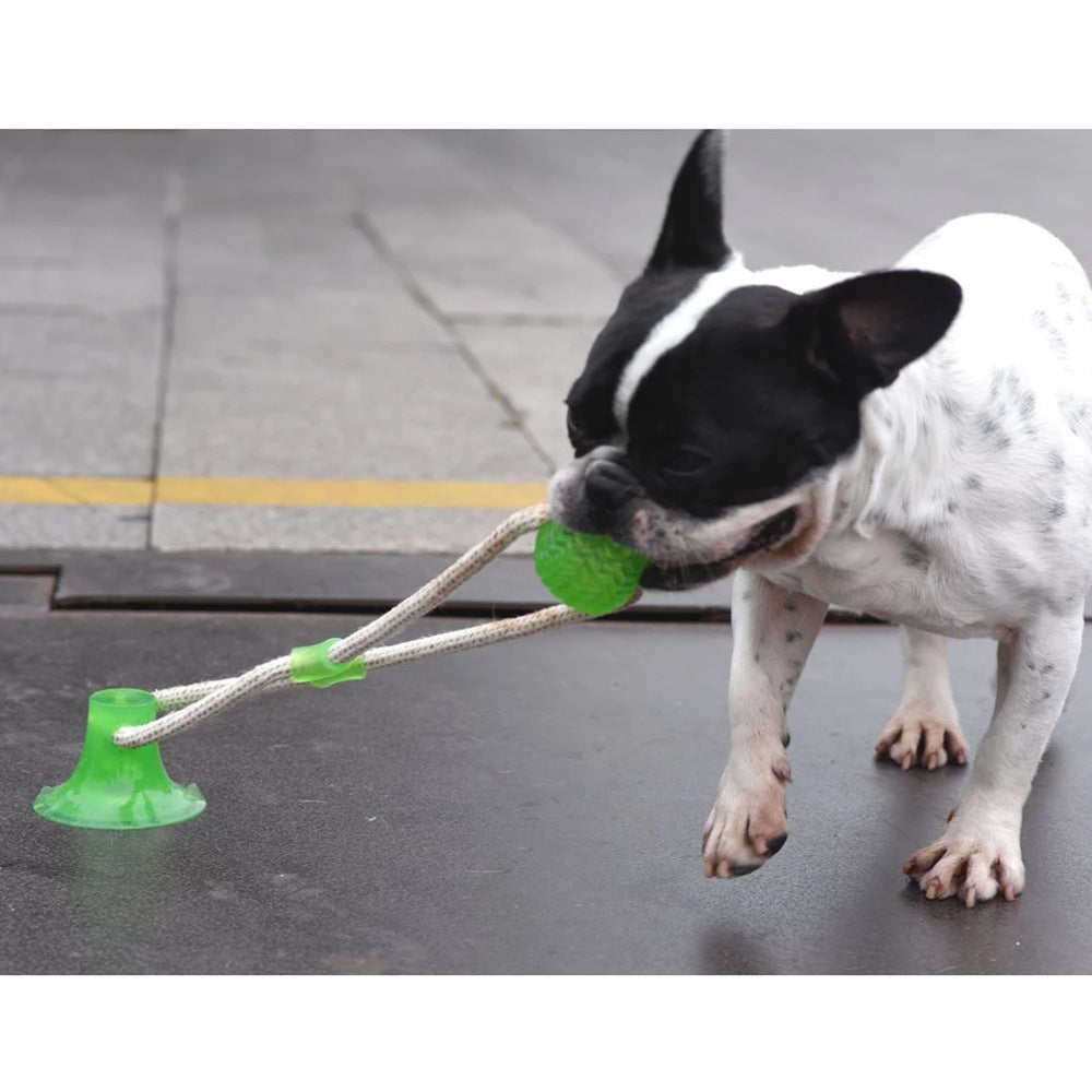 Juguete de bola de aspiración premium para perro