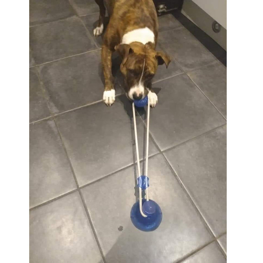 Juguete de bola de aspiración premium para perro