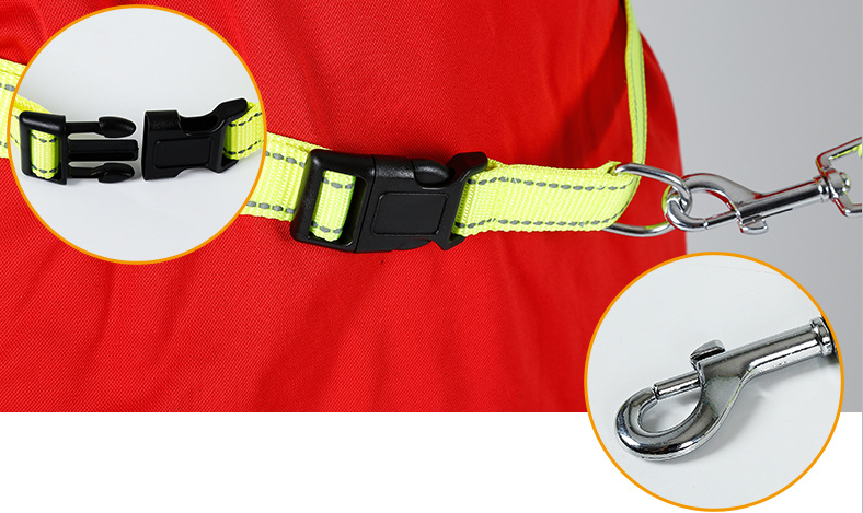 Correa para Perros sin Manos con cinturón Ajustable