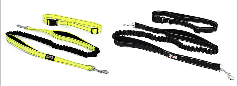 Correa para Perros sin Manos con cinturón Ajustable