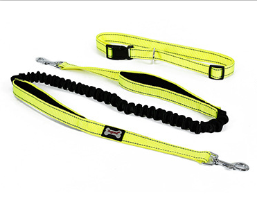 Correa para Perros sin Manos con cinturón Ajustable