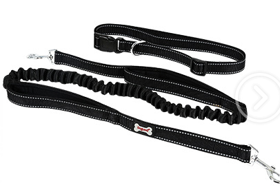 Correa para Perros sin Manos con cinturón Ajustable