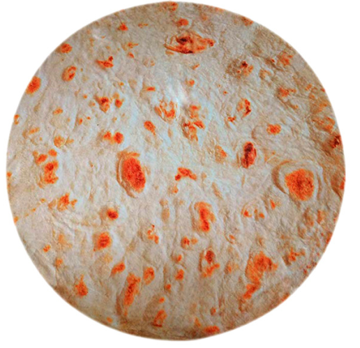 Manta de taco y tortilla mexicano muy divertido - MXbueno