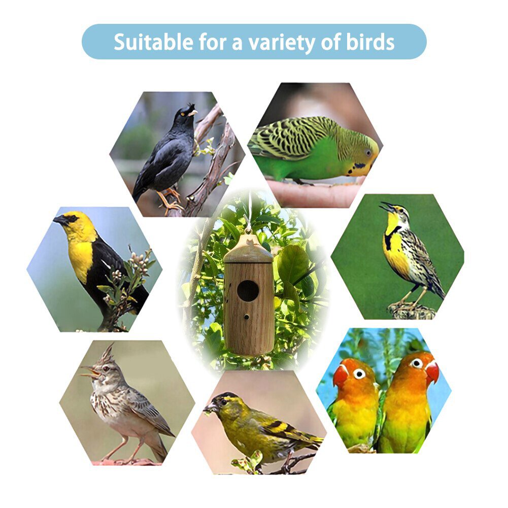 💕Casa De Colibrí De Madera-Regalo Para Amantes De La Naturaleza