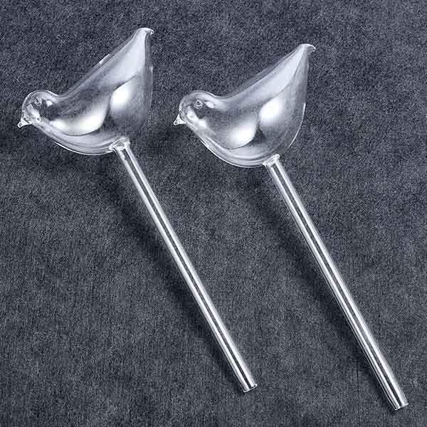 Bombillas De Vidrio Para Plantas De Riego