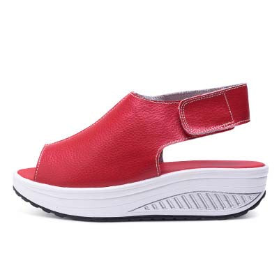 Verano Nuevos Zapatos De Batido Adelgazantes