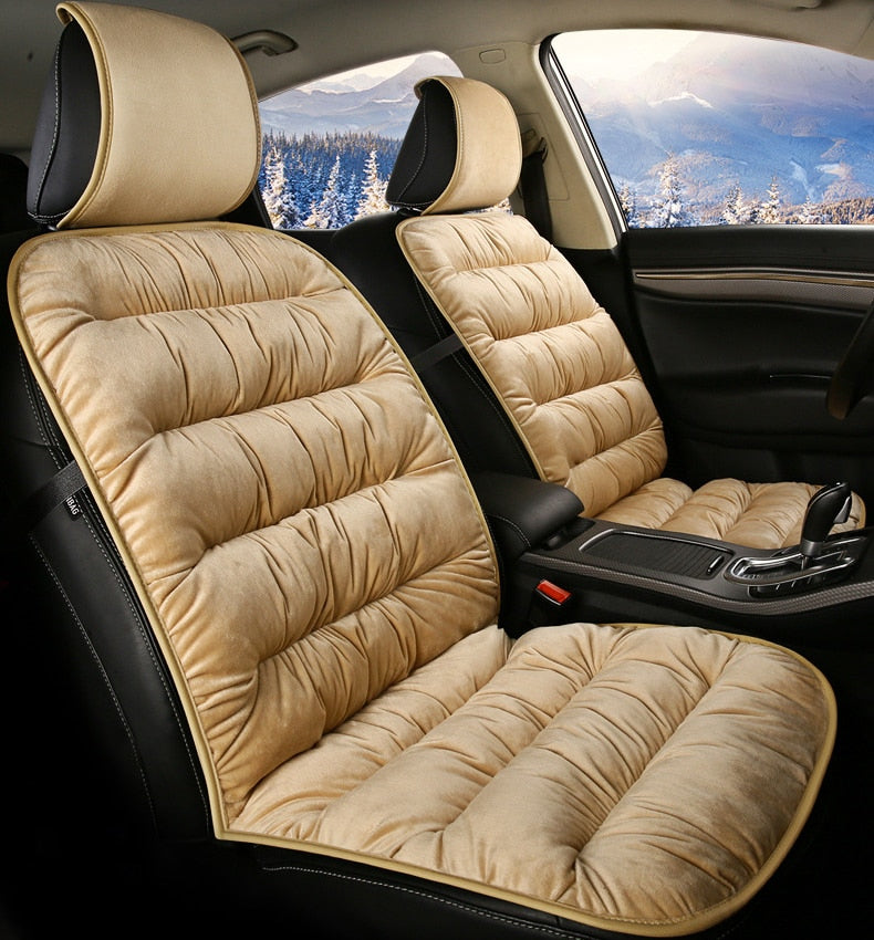 Acolchado De Automóviles Lleno De Plumas En Invierno