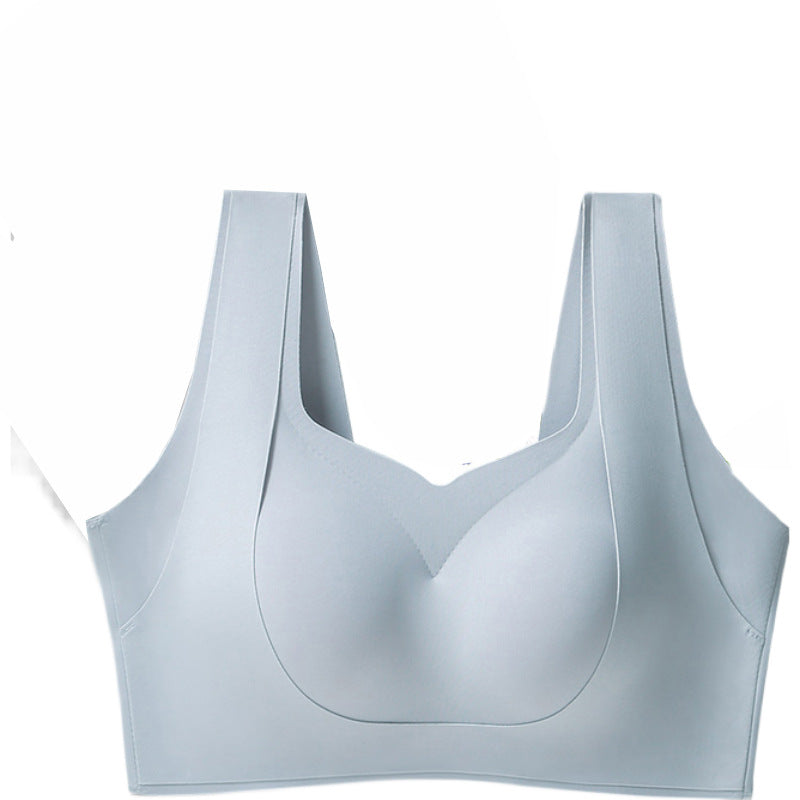 Sujetador De Gran Tamaño De Elevación