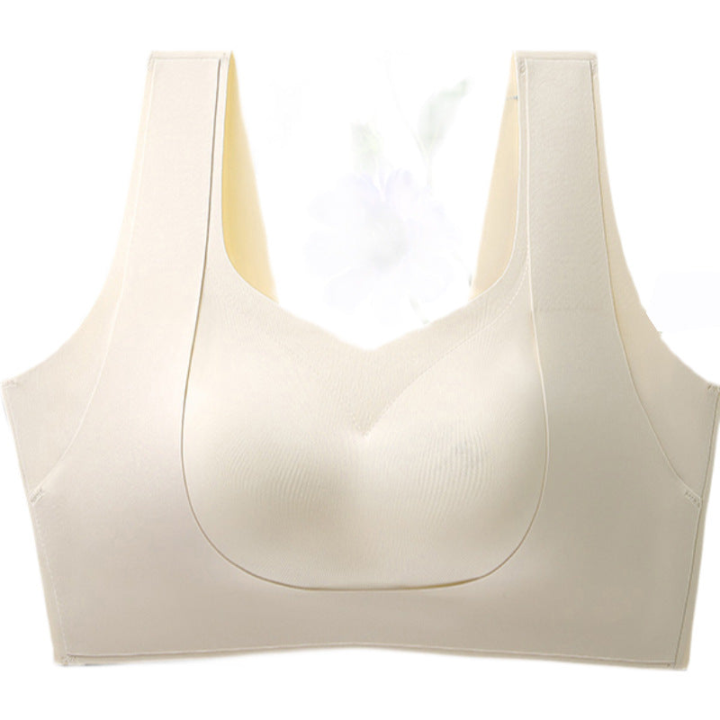 Sujetador De Gran Tamaño De Elevación