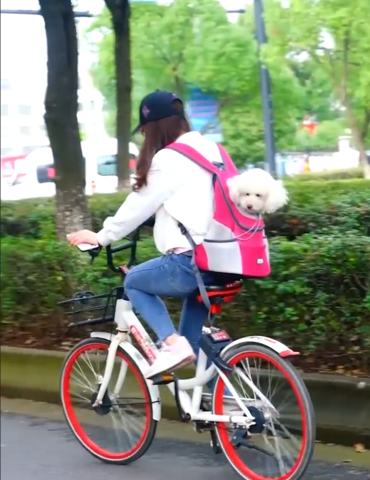 BOLSA DE VIAJE PARA MASCOTAS - PERROS Y GATOS - MXbueno