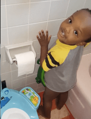 Boys Toilet Trainer