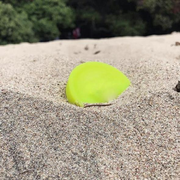 Un nuevo juego de jugar a la captura - MXbueno